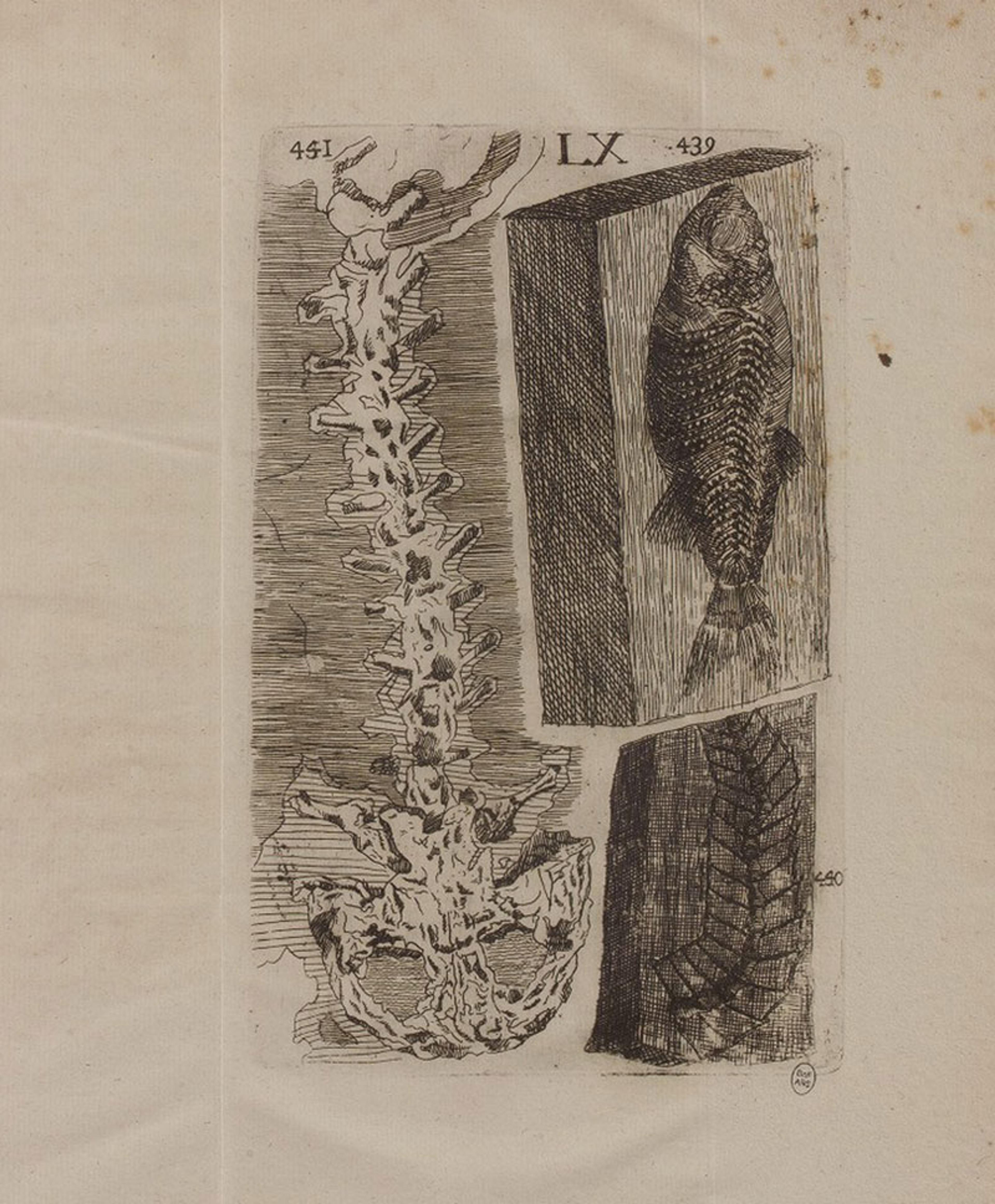 巴别阅读- 英文外刊轻松读