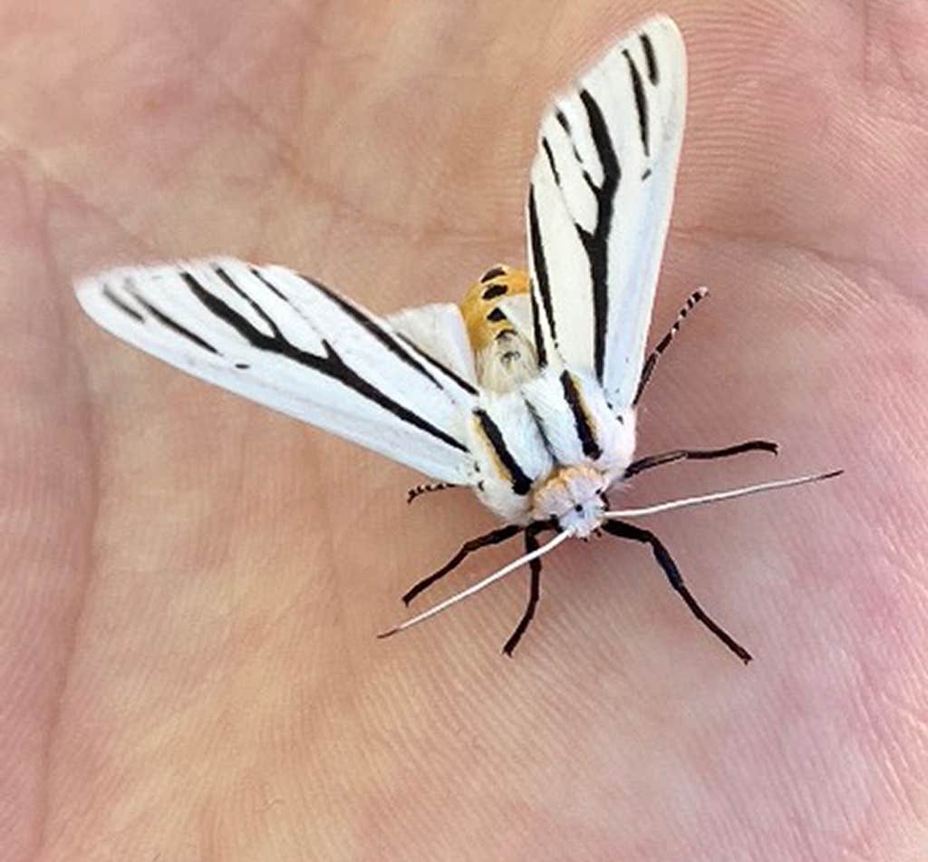 巴别阅读- 英文外刊轻松读